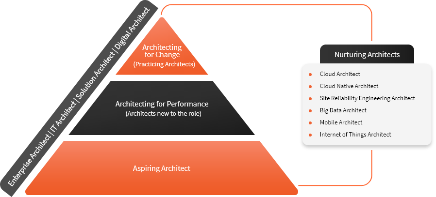 Pyramid diagram depicting various levels of nursing care.